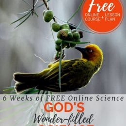 The team at CrossWired Science has creatively crafted online digital resources that will appeal to all ages and levels of learning in your family. And they are giving it away for free! Find out more! #science #creationscience #freehomeschooldeals #fhdhomeschoolers