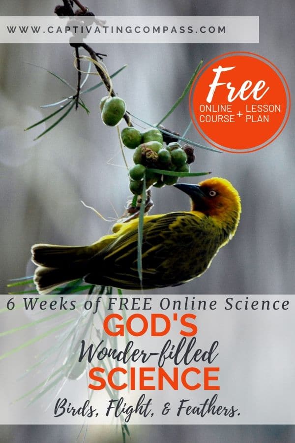 The team at CrossWired Science has creatively crafted online digital resources that will appeal to all ages and levels of learning in your family. And they are giving it away for free! Find out more! #science #creationscience #freehomeschooldeals #fhdhomeschoolers