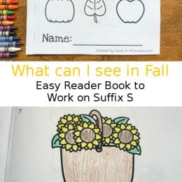 You will love this FREE What I Can See in Fall Easy Reader! #fhdhomeschoolers #freehomeschooldeals #easyreaders #fallresources #hsmoms