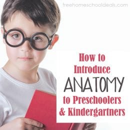 Check out How to Introduce Anatomy to your Preschoolers & Kindergartners! #fhdhomeschoolers #freehomeschooldeals #hsmamas #anatomy #homeschoolscience