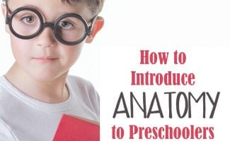 Check out How to Introduce Anatomy to your Preschoolers & Kindergartners! #fhdhomeschoolers #freehomeschooldeals #hsmamas #anatomy #homeschoolscience