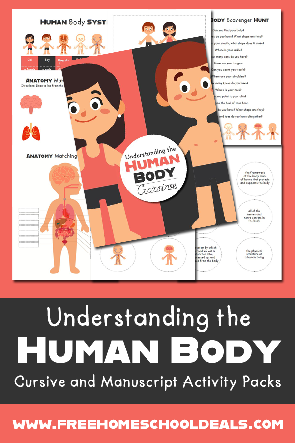 sample screenshot images of Human body printable pack