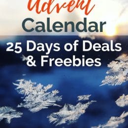 Celebrate the season with The 2019 Digital Curriculum And Homeschool ADVENT Calendar! #fhdhomeschoolers #freehomeschooldeals #hsmoms #advent #homeschooling