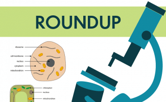 For your budding biologist, check out FHD's (and more!) FREE Plant and Animal Cell Resources! #fhdhomeschoolers #freehomeschooldeals #hsmoms #hsdays #homeschoolscience