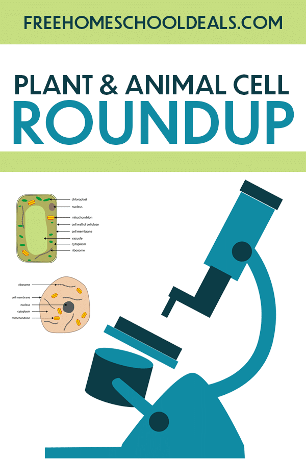 For your budding biologist, check out FHD's (and more!) FREE Plant and Animal Cell Resources! #fhdhomeschoolers #freehomeschooldeals #hsmoms #hsdays #homeschoolscience