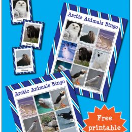 Arctic Animals Bingo Game.