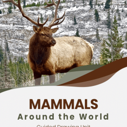 FREE Guided Drawings of Mammals around the World.