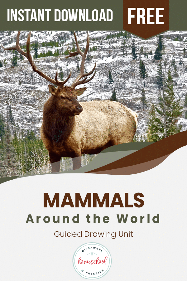 FREE Guided Drawings of Mammals around the World.
#guideddrawingmammals
#fhdhomeschoolers
#freehomeschooldeals
