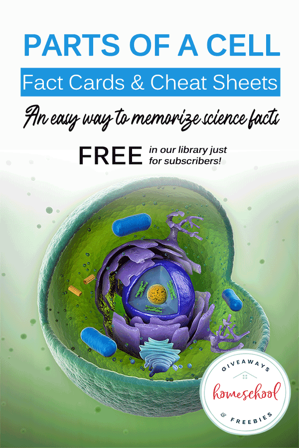 FREE Cheat Sheet and Fact Cards All About cells.
#fhdhomeschoolers
#freehomeschooldeals
#partsofacell
