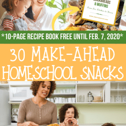 FREE PDF Make-Ahead Snacks Cookbook. #freehomeschooldeals #fhdhomeschoolers #homeschool snacks #makeaheadsnacks