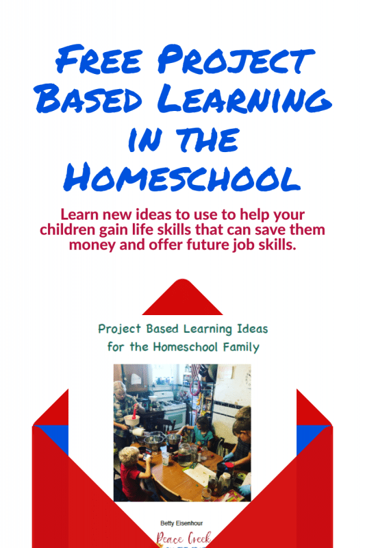 FREE eBook of Project-Based Learning in the Homeschool. #projectbasedlearning #homeschoolprojects #fhdhomeschoolers #freehomeschooldeals