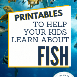 All About Fish Resources and Freebies. #allaboutfish #fishresources #fishfreebies #fhdhomeschoolers #freehomeschooldeals