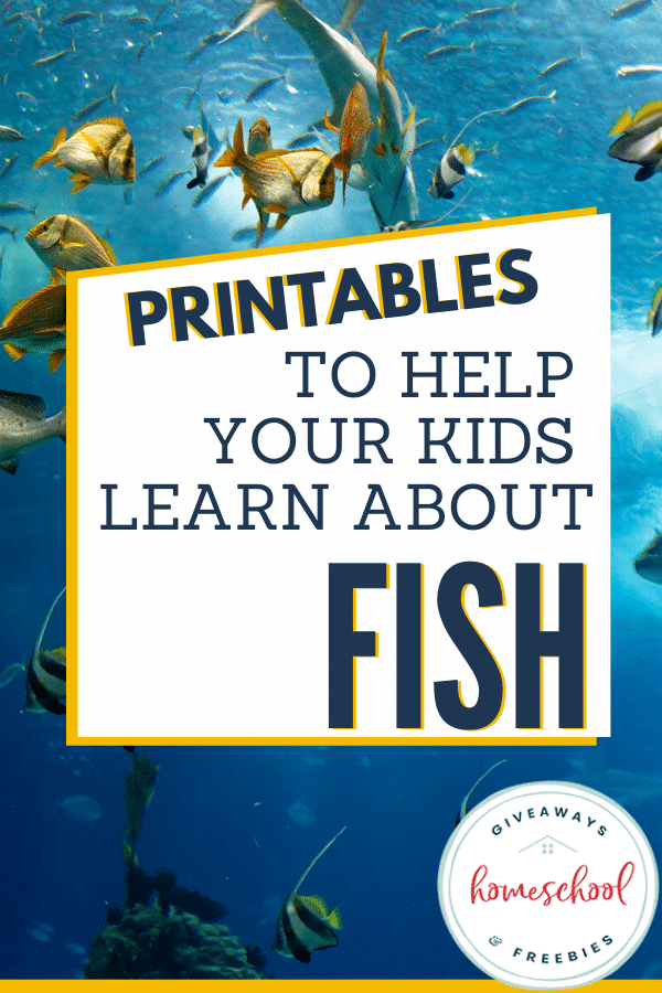 All About Fish Resources and Freebies. #allaboutfish #fishresources #fishfreebies #fhdhomeschoolers #freehomeschooldeals