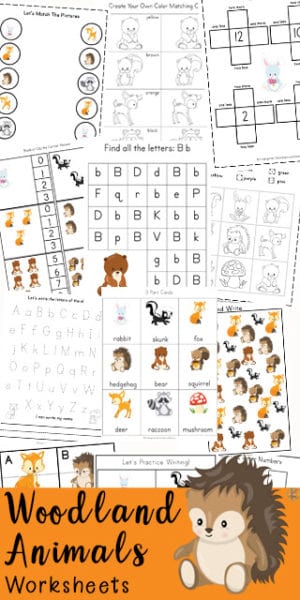 FREE Adorable Woodland Animals Worksheets. #woodlandanimals #woodlandanimalworksheets #fhdhomeschoolers #freehomeschooldeals