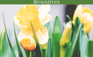 This April, celebrate the resurrection of Jesus with these FREE Easter and Resurrection Day Resources! #fhdhomeschoolers #freehomeschooldeals #easter #ressurrectionday #homeschoolfamily