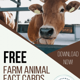 FREE Cheat Sheets and Fact Cards for Farm Animals. #freehomeschooldeals #fhdhomeschoolers #farmanimals #farmanimalcheatsheets #farmanimalfactcards