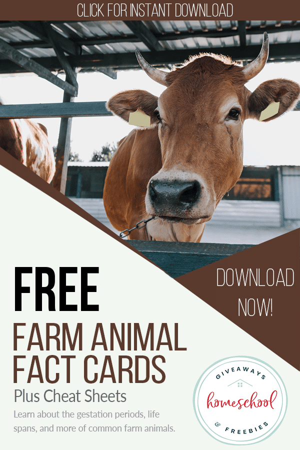 FREE Cheat Sheets and Fact Cards for Farm Animals. #freehomeschooldeals #fhdhomeschoolers #farmanimals #farmanimalcheatsheets #farmanimalfactcards