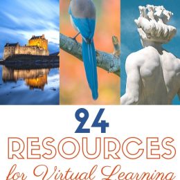FREE Learning Resources and Virtual Tours. #fhdhomeschoolers #freehomeschooldeals #freevirtualtours #vistualtourresources