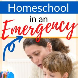 FREE School-at-Home Survival Guide. #freehomeschooldeals #fhdhomeschoolers #temporaryhomeschooling #emergencyhomeschooling #sschoolathomesurvivalguide