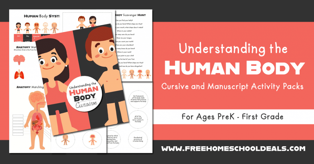 sample screenshot images of Human body printable pack