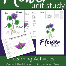 Celebrate the beauty of Spring with this FREE Flower Unit Study! #fhdhomeschoolers #freehomeschooldeals #homeschooling #hsdays #hsscience