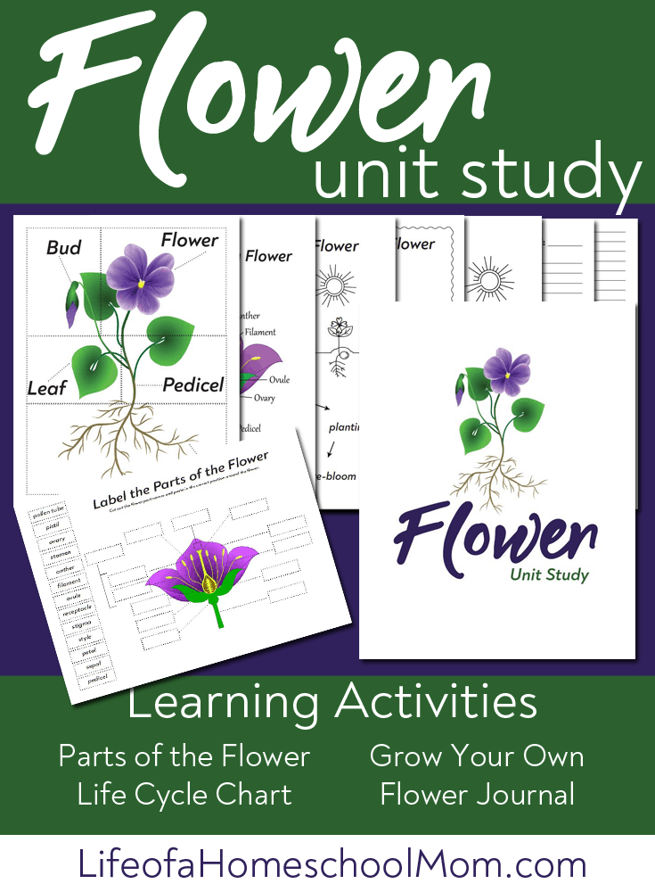 Celebrate the beauty of Spring with this FREE Flower Unit Study! #fhdhomeschoolers #freehomeschooldeals #homeschooling #hsdays #hsscience