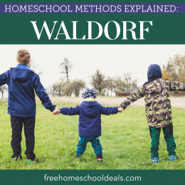 Provide your child with a liberal arts homeschool education and read Homeschool Methods Explained: Waldorf! #fhdhomeschoolers #freehomeschooldeals #waldorf #homeschoolinglife #hsmoms