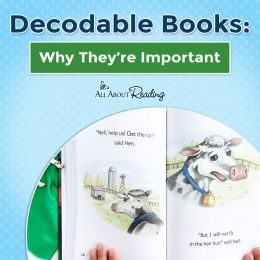 Build on your child's phonics skills and read Decodable Books: Why They're Important! #fhdhomeschoolers #freehomeschooldeals #allaboutlearning #decodablebooks #phonics #hsmoms