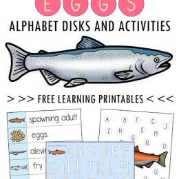 Salmon Montessori-Inspired Matching Cards. #fhdhomeschoolers #freehomeschooldeals #salmon alphabetprintables #spellingprintables #montessori-inspiredprintables