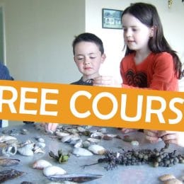While you're stuck at home, grab this FREE Online Homeschooling Course! #fhdhomeschoolers #freehomeschooldeals #onlinecourses #homeschooling #learningathome