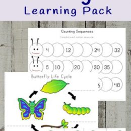 FREE Butterfly Life Cycle Worksheets. #fhdhomeschoolers #freehomeschooldeals #butterflylifecycleresources #butterflythemedprintables #butterflylifecycle