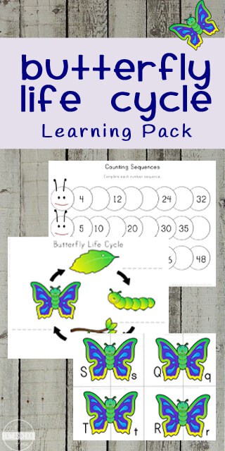 FREE Butterfly Life Cycle Worksheets. #fhdhomeschoolers #freehomeschooldeals #butterflylifecycleresources #butterflythemedprintables #butterflylifecycle