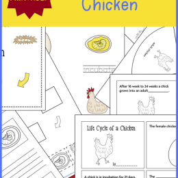 This spring, learn about life and growth with this FREE Life Cycle of a Chicken Unit Study! #fhdhomeschoolers #freehomeschooldeals #science #lifecycles #hsmoms