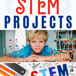FREE STEM Projects for the Summer. #freehomeschooldeals #fhdhomeschoolers #summerSTEMprojects #STEMprojects #summerprojects