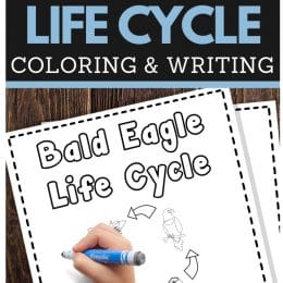 FREE Bald Eagle Writing and Coloring Pages. #freehomeschooldeals #fhdhomeschoolers #baldeaglepages #baldeagleprintables