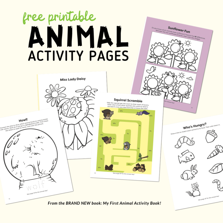 FREE Animal Activity Pages for Toddlers. #freehomeschooldeals #fhdhomeschoolers #animalactivityprintables #preschoolprintables #preschoolresources #animalresources