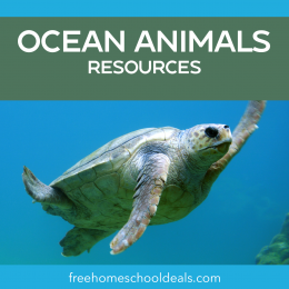 Create a whole ocean unit with these FREE Ocean Animals Resources! #fhdhomeschoolers #freehomeschooldeals #oceananimals #aquariummonth #biology