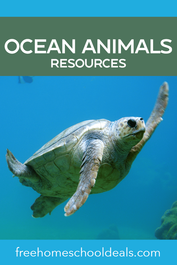 Create a whole ocean unit with these FREE Ocean Animals Resources! #fhdhomeschoolers #freehomeschooldeals #oceananimals #aquariummonth #biology