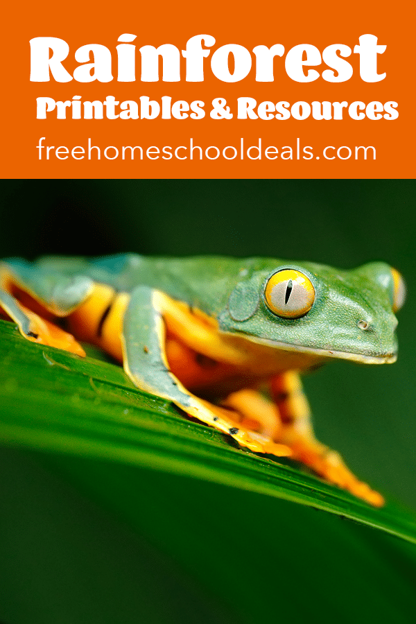 FREE Rainforest Printables & Resources Free Homeschool Deals