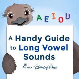 A Handy Guide to Long Vowel Sounds