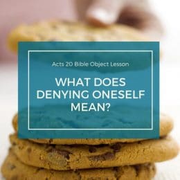 FREE Acts 20 Bible Lesson. #freehomeschooldeals #fhdhomeschoolers #Acts20Biblelesson #Biblelessons #denyingoneself