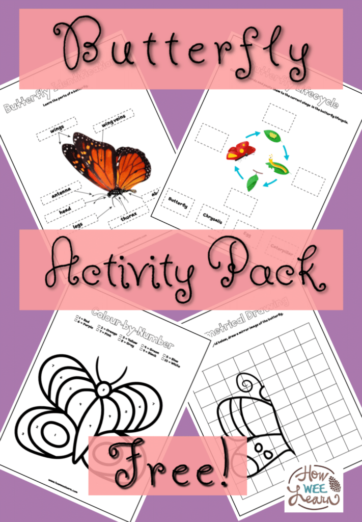 FREE Butterfly Activity Worksheets. #freehomeschooldeals #fhdhomeschoolers #butterflyuntistudy #butterflyactivities #butterflyworksheets #butterflylifecycle