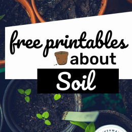 FREE Resources All About Soil. #freehomeschooldeals #fhdhomeschoolers #allaboutsoil #soilprintables #soilresources