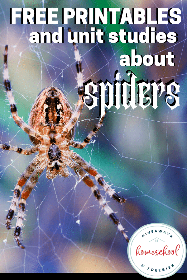 Free Printables All About Spiders. #freehomeschooldeals #fhdhomeschoolers #allaboutspiders #spiderprintables #spiderunitstudies #spiderresources