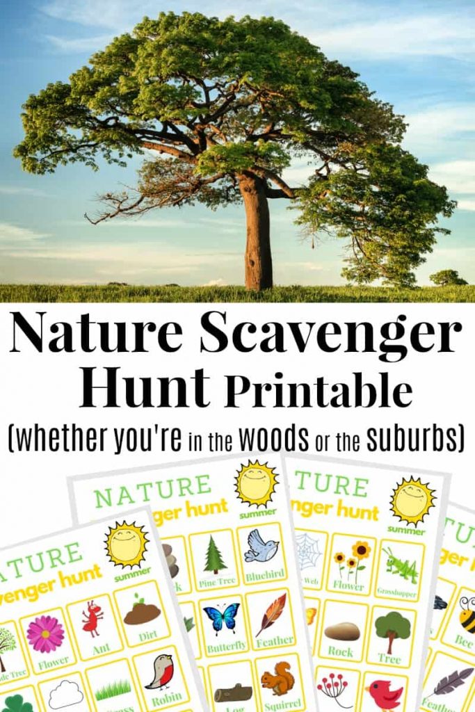 sample pages of nature scavenger hunt printable pack