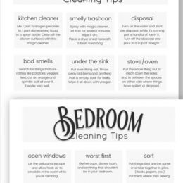 sample pages of the household tips printable