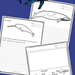 FREE Printable Whale Writing Prompts. #freehomeschooldeals #fhdhomeschoolers #whalewritingprompts #whaleprintables #seacreatureprintables #writeaboutwhales