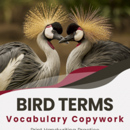 Free Vocabulary Copywork On Bird Terms. #freehomeschooldeals #fhdhomeschoolers #birdterms #birdvocabularyterms #birdcopywork