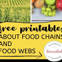 Food Webs and Food Chains FREE Printables. #fhdhomeschoolers #freehomeschooldeals #foodwebprintables #foodchainprintables