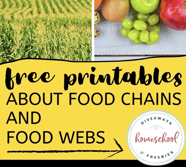 Food Webs and Food Chains FREE Printables. #fhdhomeschoolers #freehomeschooldeals #foodwebprintables #foodchainprintables 